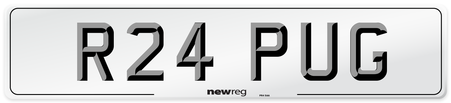 R24 PUG Number Plate from New Reg